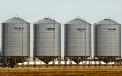 L’ozonation des silos à grains