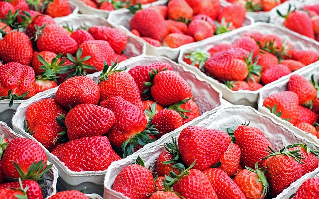 L'ozone poiur le stockage des fraises. Une efficacité performante