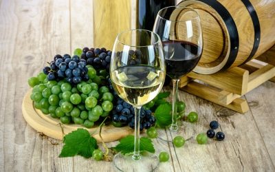 Ozone et composés bioactifs dans les raisins et le vin