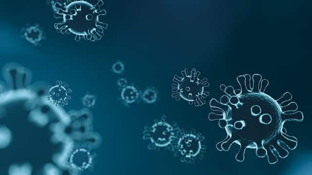Élimination du coronavirus grâce à l'ozone
