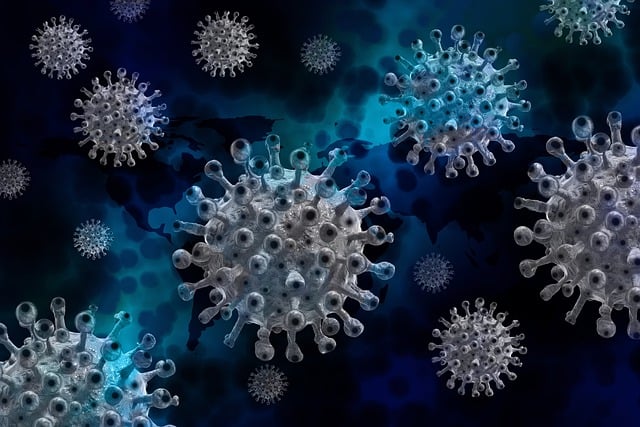 L’ozone sur le virus Enterovirus