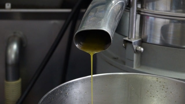 Traitement des eaux usées des producteurs d'olive et d'huile d'olive