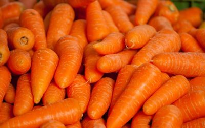 L’ozone pour le traitement des carottes