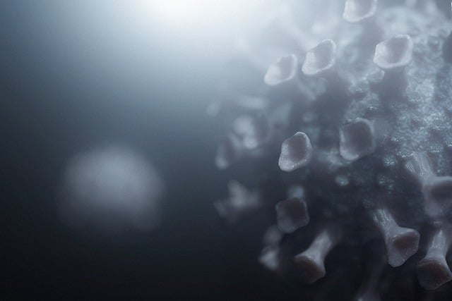 Rôle de l'ozone dans la purification de l'eau contre le Vibrio vulnificus