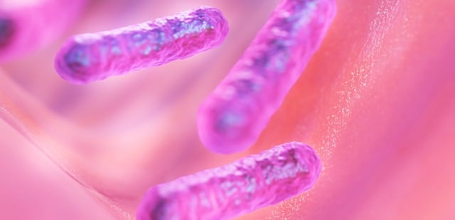 Le groupe Streptococcus, qui regroupe des bactéries responsables de maladies infectieuses telles que les angines, les pneumonies ou encore les infections cutanées