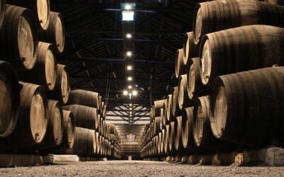 Désinfection des barriques et fûts en bois pour le vin