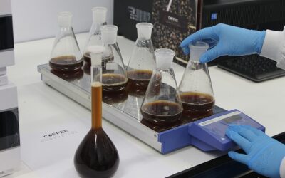 Dégradation du nitrobenzène par ozonation