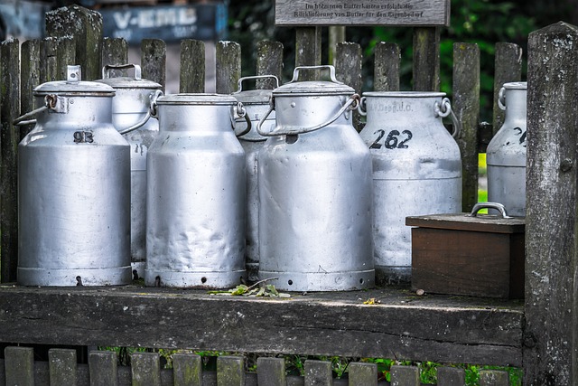 L'efficacité de l'ozone contre le Streptococcus lactis