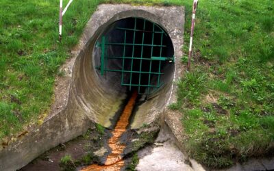 Ozonation et polluants dans l&rsquo;eau