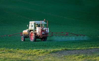 Ozone et pesticides