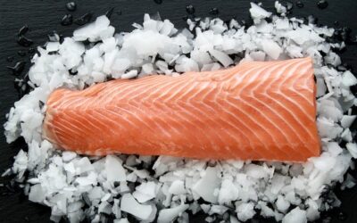 L&rsquo;ozonation et les produits de la mer