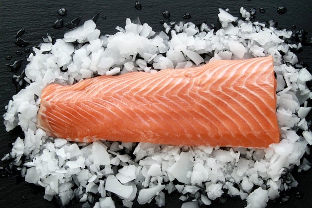 L'ozonation pour les produits de la mer