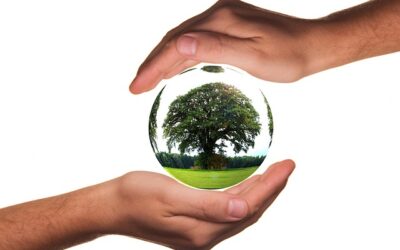 Ozone et agroalimentaire | impact environnemental