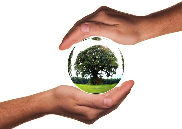 Les industries alimentaires utilisent l’ozone dans plusieurs domaines clés
