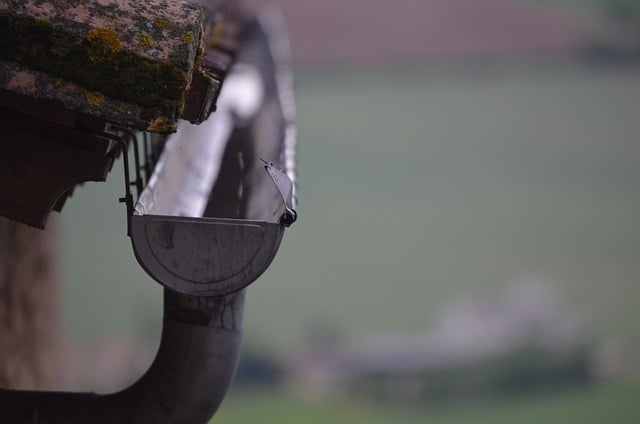 L’eau de pluie est réutilisable dans de nombreux secteurs d’activités notamment dans le secteur agricole