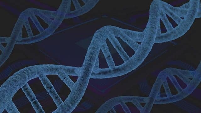 Élimination des endotoxines bactériennes grâce à l'ozonation
