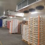 usages de l'ozone dans l'agroalimentaire IAA