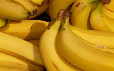 Efficacité de l’ozone pour le traitement des bananes