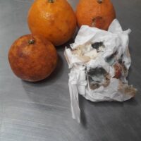 ORANGES 2