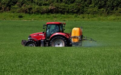 Efficacité de l&rsquo;ozonation sur le pesticide Imidaclopride