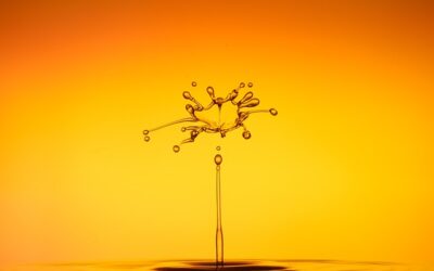 L&rsquo;Ozone pour le traitement des eaux résiduaires