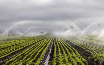 Optimisation de l&rsquo;eau pour l&rsquo;agriculture en utilisant l&rsquo;ozonation