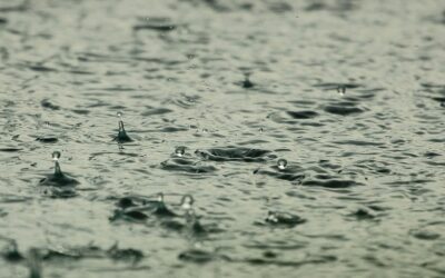 Nouveau décret pour la réutilisation des eaux usées