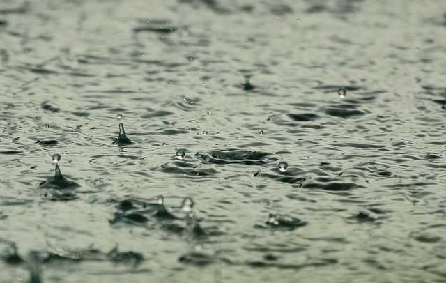 Ce décret peut intéresser les agriculteurs car il facilite l’utilisation d’eaux usées traitées ou d’eaux de pluie pour certains usages non domestiques, comme l’irrigation