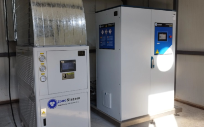 Traitement à l&rsquo;ozone de l&rsquo;alpéchine et de l&rsquo;alperujo