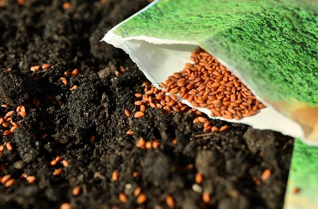 Améliorer la germination des semences avec l&rsquo;O3