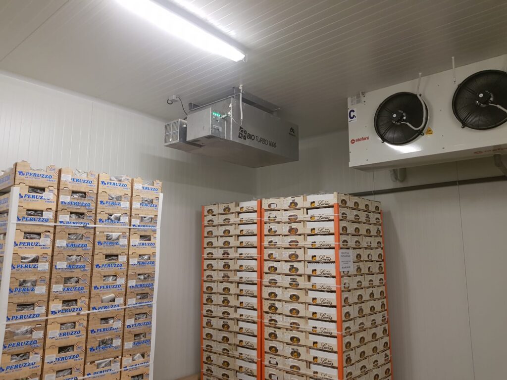 ozone stockage