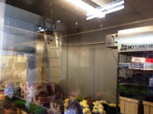 bio turbo ozone pour les fleurs