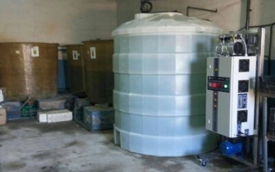 Traitements des carcasses à l’ozone dans les abattoirs