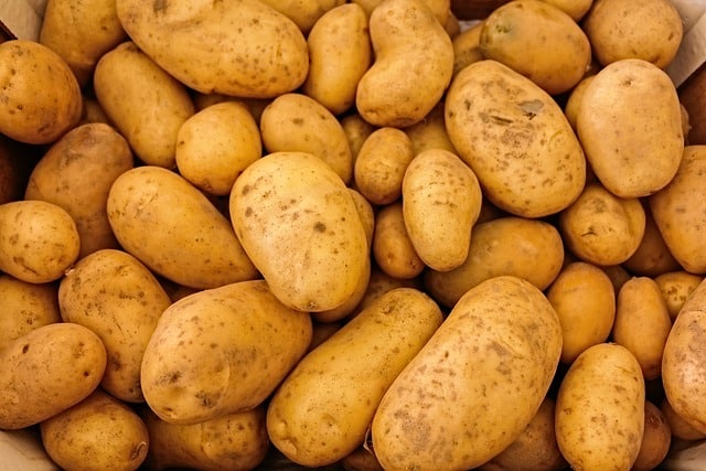 L’ozone dans le traitement des pommes de terre