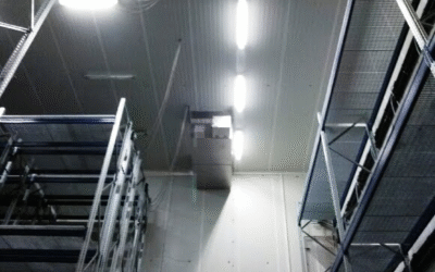 Ozone et moisissures dans l’agroalimentaire