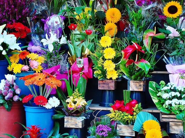 Après la récolte, les fleurs coupées (roses, tulipes, pivoines, lys, etc.) subissent rapidement Un flétrissement