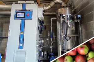 Lavage de l'eau pour les pommes