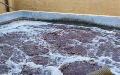 Traitement des effluents par ozonation
