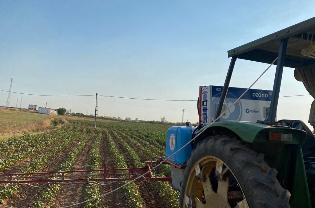 Ozonation en agriculture : Eau d’irrigation et sécurité post‑récolte