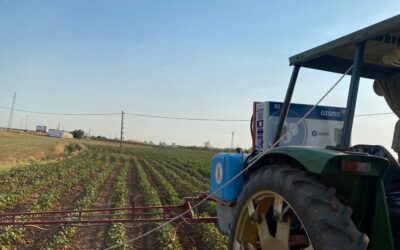 Ozonation en agriculture : Eau d’irrigation et sécurité post‑récolte