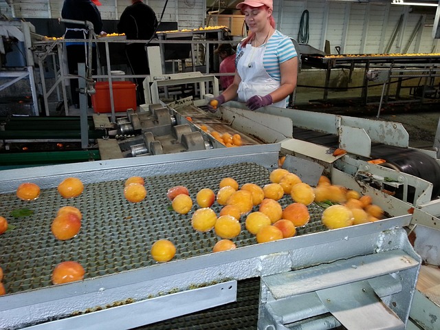 action oxydante et microbicide de l’eau ozonée sur les surfaces industrielles, notamment en agroalimentaire