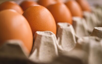 L’ozone pour le traitement des ovoproduits