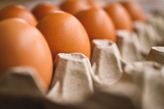 Désinfection des ovoproduits