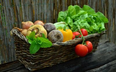 L’ozone : une technologie verte les résidus de pesticides sur les légumes