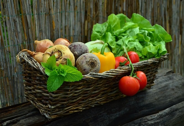L’ozone : une technologie prometteuse pour éliminer les résidus de pesticides sur les légumes