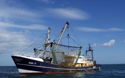 L’utilisation de l’ozone dans la pêche professionnelle