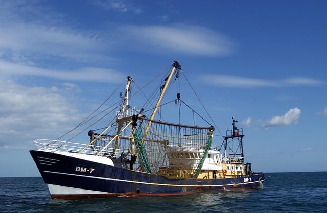 L’ozone : un allié stratégique pour une aquaculture durable et performante