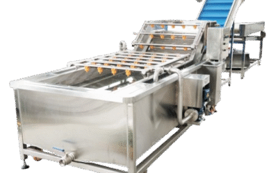 L’ozone pour le lavage et le rinçage des légumes et des fruits