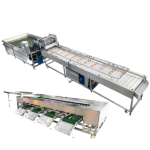 Machine industrielle de lavage et désinfection à l’ozone pour les fruits