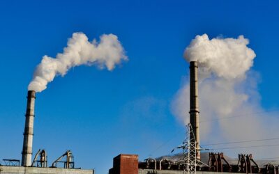 Traitement des gaz de combustion par ozone